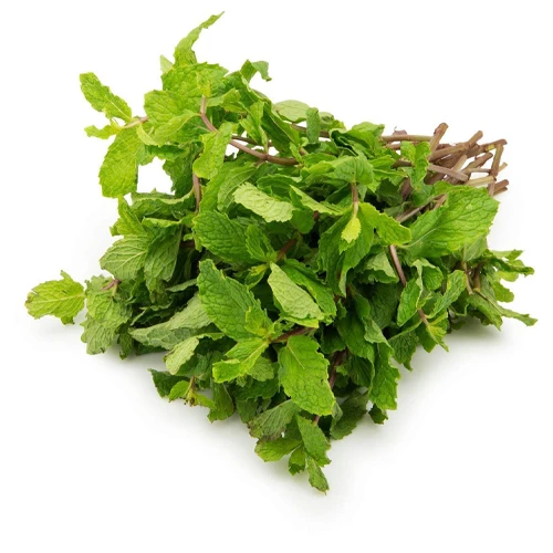 Mint Leaves 100 gm