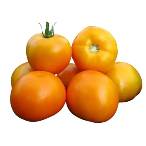 Fresh Tomato - Hybrid, 1kg Pack